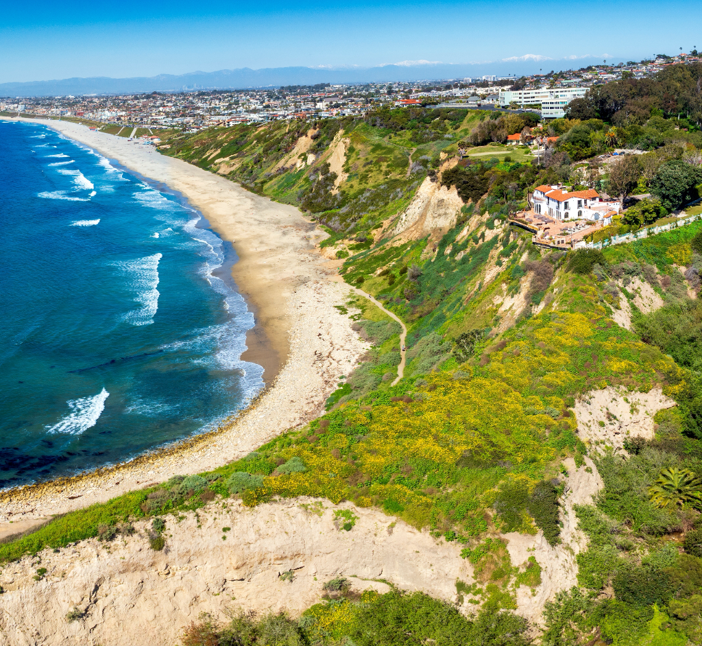 shutterstock_2447370427_TLHB